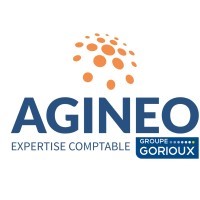 logo cabinet d'expertise comptable agineo