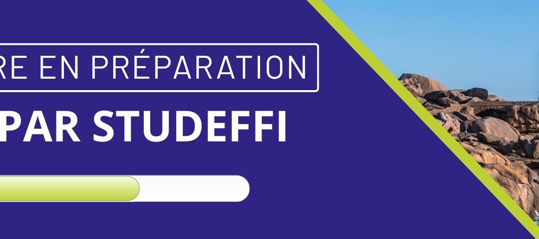 [WEBINAIRE SSEE] animé par Studeffi